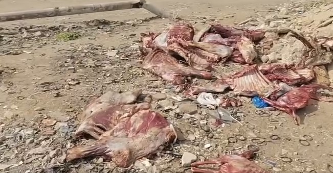 Screenshot 2026-04-08 183323